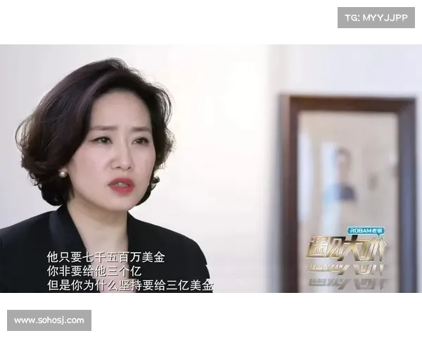 法甲投资人背后的资本故事与市场战略解析 法甲投资人背后的资本故事与市场战略解析